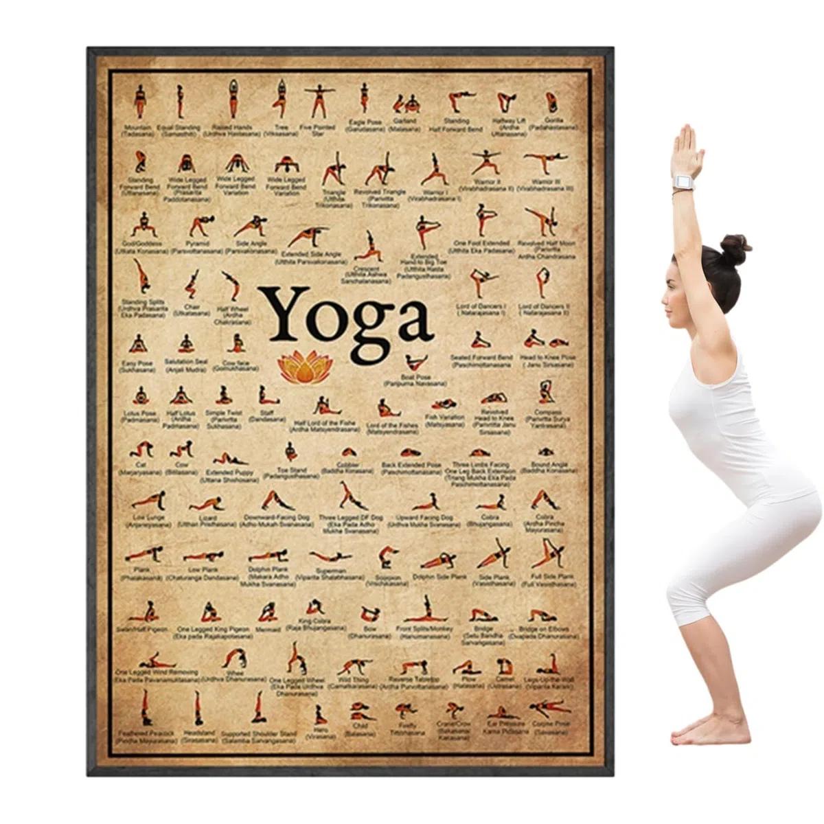Naqqios Poster da yoga – poster per esercizi | poster per tutto il corpo | Tavolo resistente per principianti ed esperti per uso avanzato e professionale
