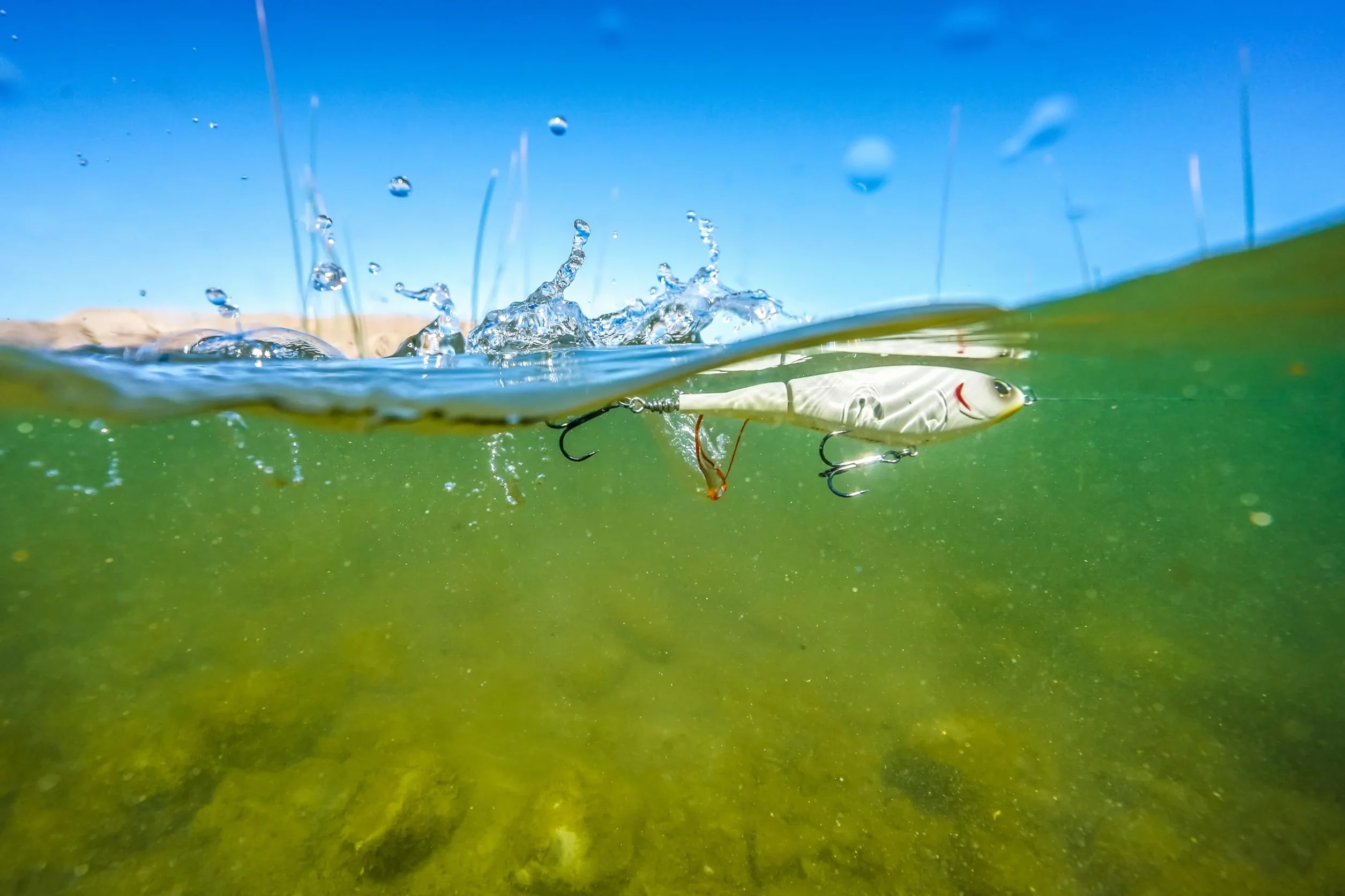 Berkley Choppo Topwater Fishing Lure - Esca propulsiva facile da usare per Bass e pesci predatori, crea il massimo disturbo e rumore in superficie - couleurs et tailles