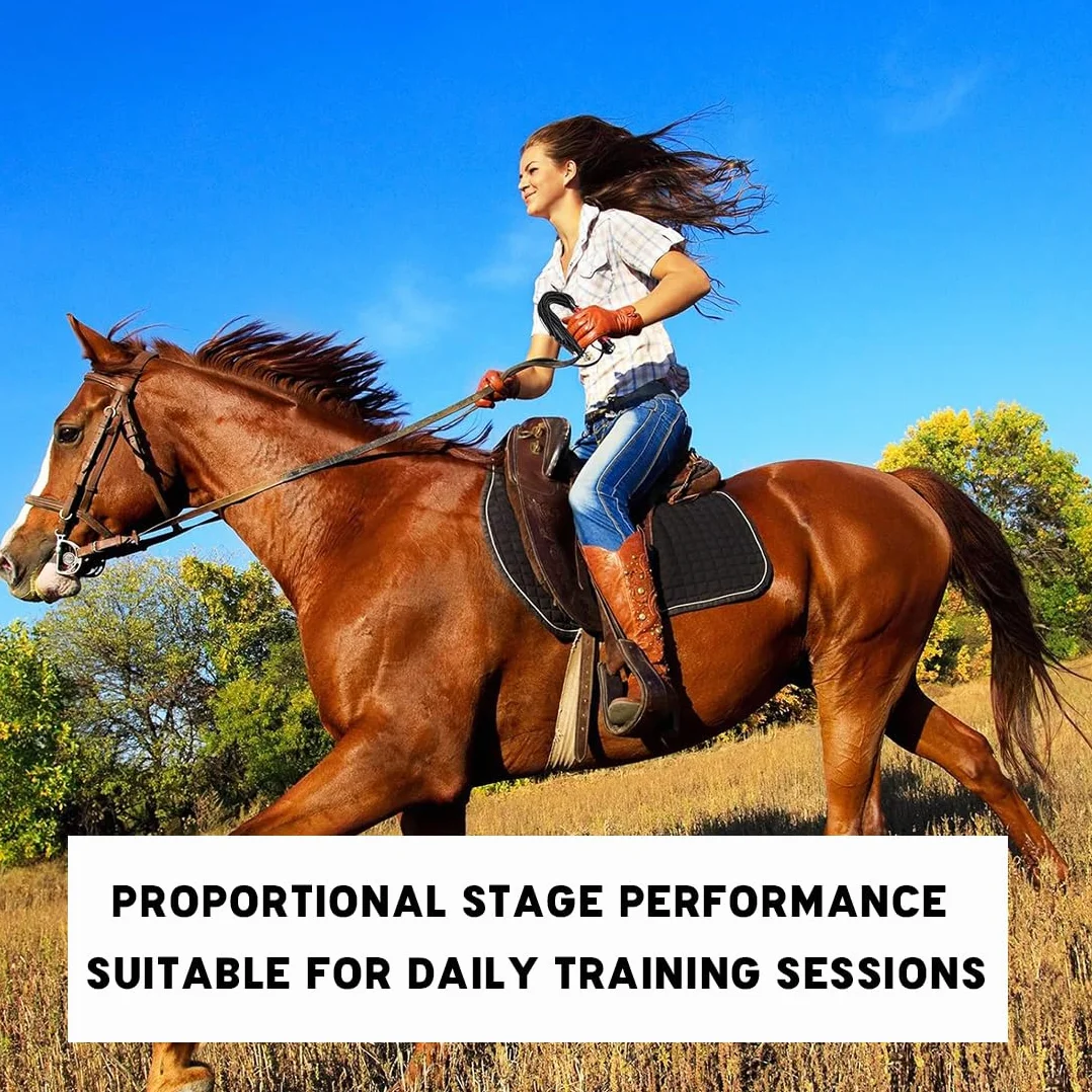 Frusta da Equitazione, 1 PCS Frustino Equitazione Corto, Outdoor Sports Portatile Antiscivolo Simil Pelle Frustino Cavallo, per Cavallo Performances,Frusta in Pelle con Frange,Multiuso