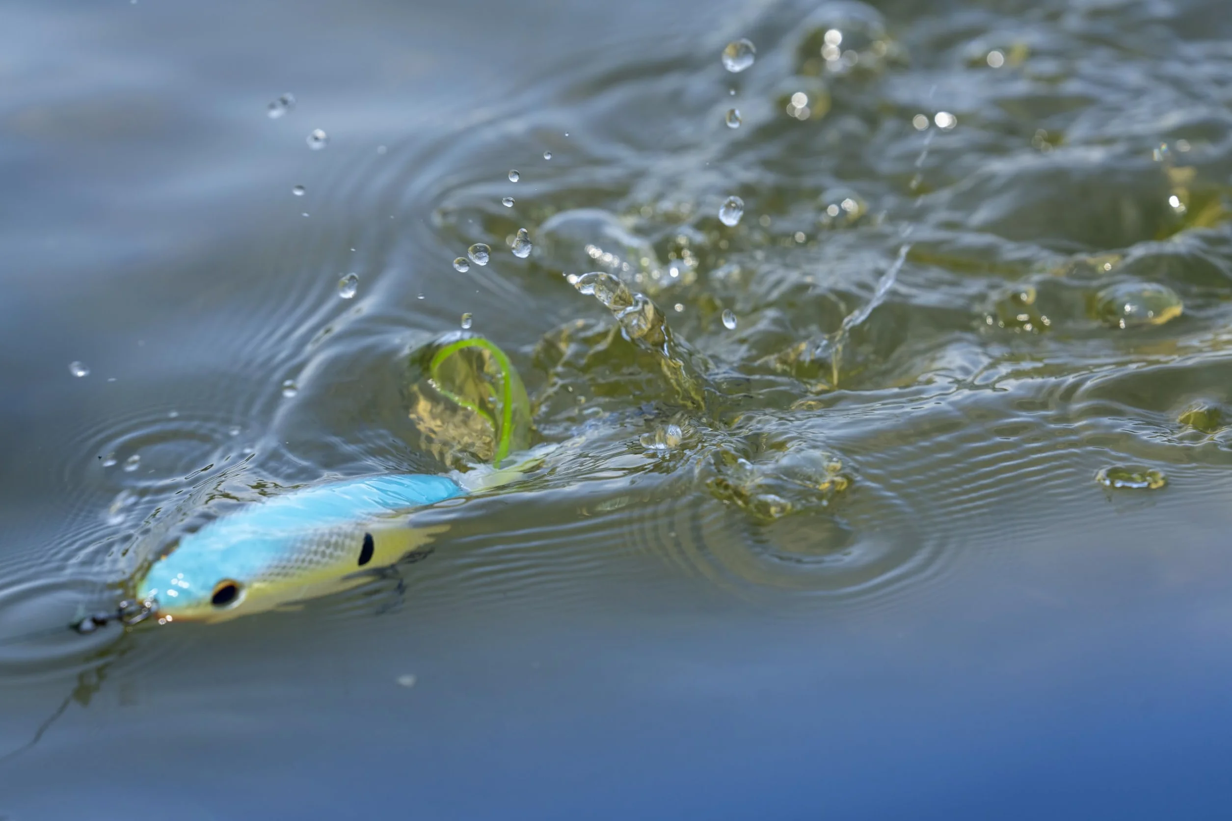 Berkley Choppo Topwater Fishing Lure - Esca propulsiva facile da usare per Bass e pesci predatori, crea il massimo disturbo e rumore in superficie - couleurs et tailles